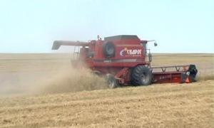 Аграрний сектор отримає 6,4 млрд. гривень державної підтримки