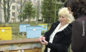Жінка-пасічник із Горохова сама майструє вулики й навчає бджолярів