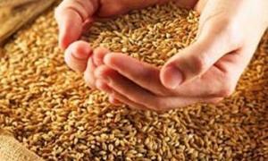 Волинські господарі отримали 18 млн. гривень по форварду