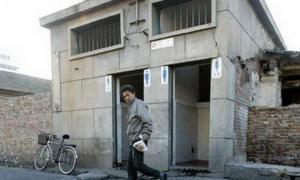 У китайських туалетах дозволили літати лише двом мухам