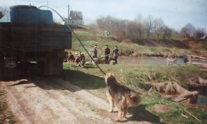 Сільський голова спровокувала конфлікт між орендарями