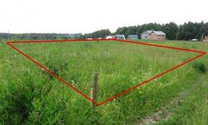 Процедуру реєстрації земельних ділянок вирішили спростити