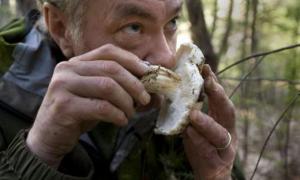 За сіно, пеньки, лісові ягоди і гриби братимуть податки