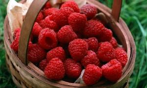 Для депутатів придбали малину по 670 гривень за кілограм