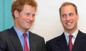 Британські принци бойкотують Євро-2012