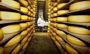 Росія знайшла порушення на двох українських сирзаводах 