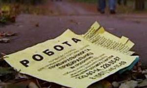 Плюси і мінуси законопроекту «Про зайнятість населення»