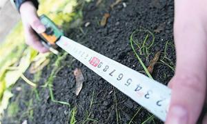 У Старій Вижівці сусіди побилися за землю