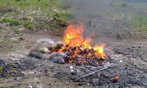 Волинські рибоохоронці знищили 7 км браконьєрських сіток