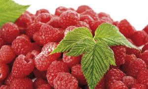 Постачальник підтвердив, що малина для чиновників дійсно коштує 670 гривень за кілограм