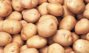 Поживна цінність білка картоплі прирівнюється до курячого м’яса