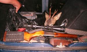 На Волині працівники ДАІ затримали браконьєрів