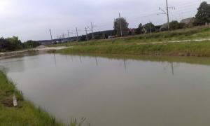 Вчителька врятувала життя 9-річному хлопчику, який тонув