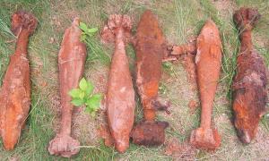 У Горохівському та Любомльському районах знешкоджено 77 мін і артснарядів