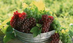 Виноград лікує серце і очищує кров