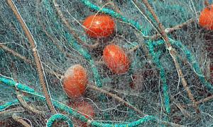 Затримали іваничівця, який продавав риболовні сіті