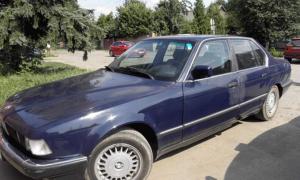 Водія-втікача працівники ДАІ затримали у... кропиві