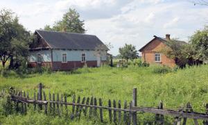 У Рожищенському районі затримали педофіла-ґвалтівника