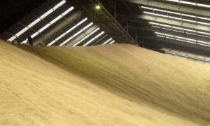 На Волині сформують регіональний запас із 5 тисяч тонн зерна