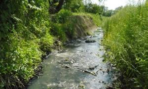 Ужгород бере питну воду з забрудненої каналізаційними стоками річки