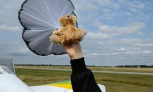 У Білорусі арештовують учасників шведського «ведмежого десанту» над Мінськом