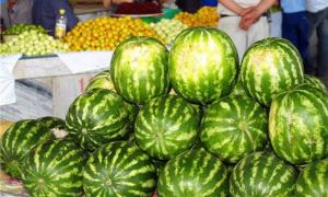 Дешевих кавунів цього року не буде