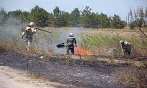 Пожежу в Коблево загасили за 10 метрів від баз відпочинку