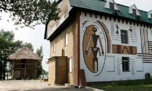 На музей Трипільської культури напали рейдери?