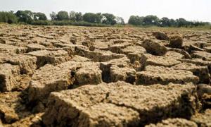 Міністерство агрополітики компенсує аграріям збитки, яких завдала посуха