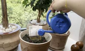 Українці поклали на депозити майже 342,5 мільярда гривень