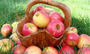 Врожай яблук в Україні може стати причиною розорення садівників