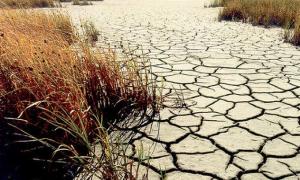 Засуха в Україні, США й Росії посилить світову продовольчу кризу