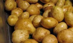 В Україні планують зібрати 23 мільйони тонн картоплі