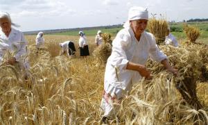 В уряді вкотре наголошують, що українці будуть з хлібом і стабільними цінами
