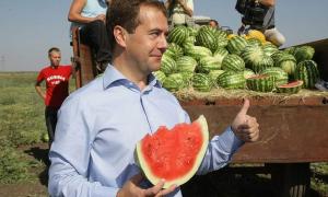 Грузія звинувачує Медведєва у незаконному перетині кордону