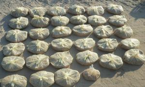 Працівники міліції вилучили у волинянина 14 кг макової соломки