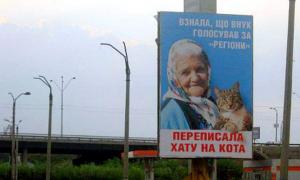 Бабуся з котом із бігборда живе в Архангельській області