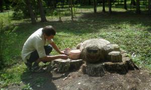 Діти у центральному парку Луцька розмальовували пеньки