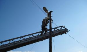 Працівники МНС врятували лелеку, який потрапив у «пастку»