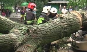 Негода знеструмила півсотні населених пунктів на Волині