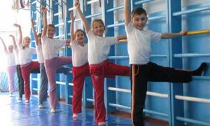 Оцінок з фізкультури більше не буде