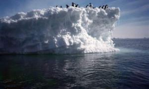 Через кілька десятиліть всі льодовики можуть розтанути