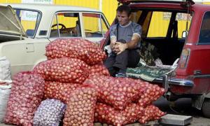 Фермери змушені продавати цибулю за безцінь