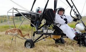 Путін таки політав з журавлями