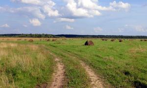 Фермер самовільно зайняв 280 гектарів земель запасу