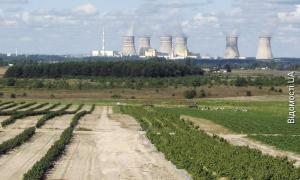 Під Рівненською АЕС вирощують броколі, малину та полуниці