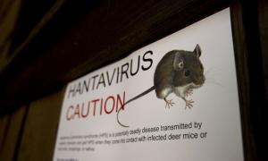 У США від невиліковної інфекції померло три людини, потенційно зараженими вважають 22 тисячі осіб