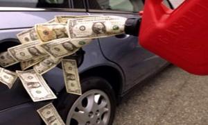 Ціни на бензин більше підвищувати не будуть