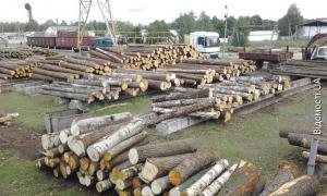 Маневицький лісгосп б’є рекорди з заготівлі деревини та консервацій