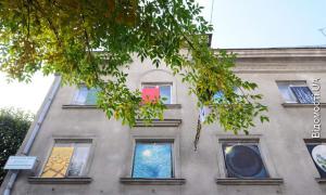 Луцькі художниці експонують свої картини у вікнах